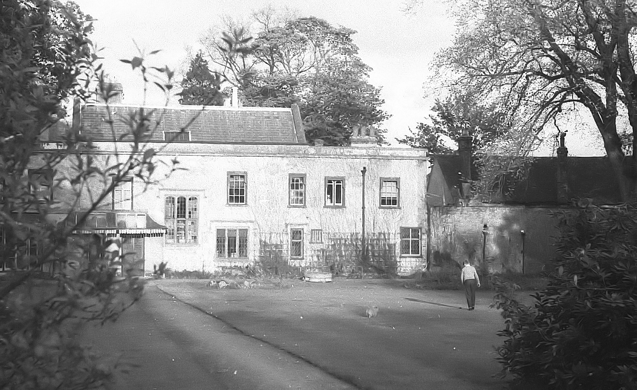 OPH rear