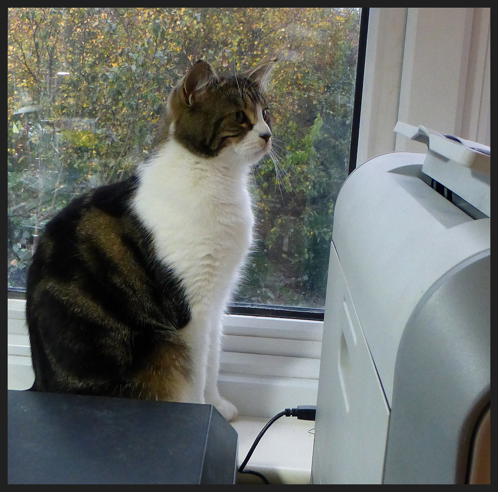 On Printer Watch