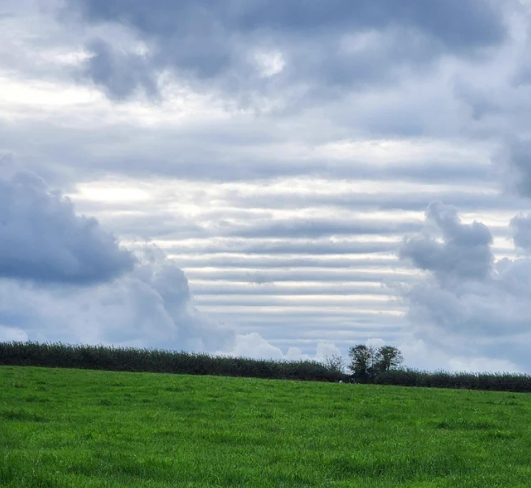 furrowed cloud