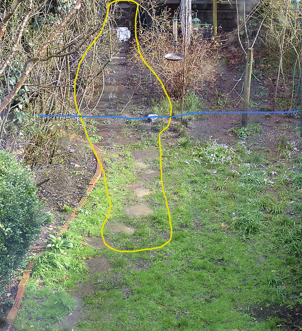 garden under water