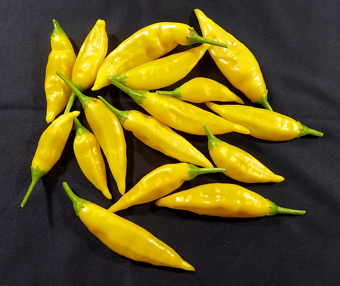 yellow chillies