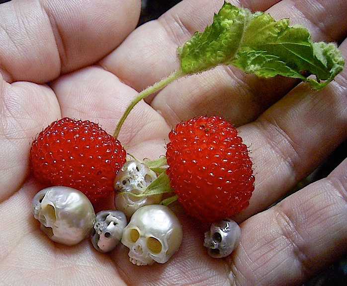 pearl skulls