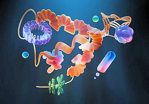 Protein folding diagram