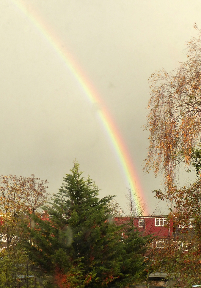 rainbow