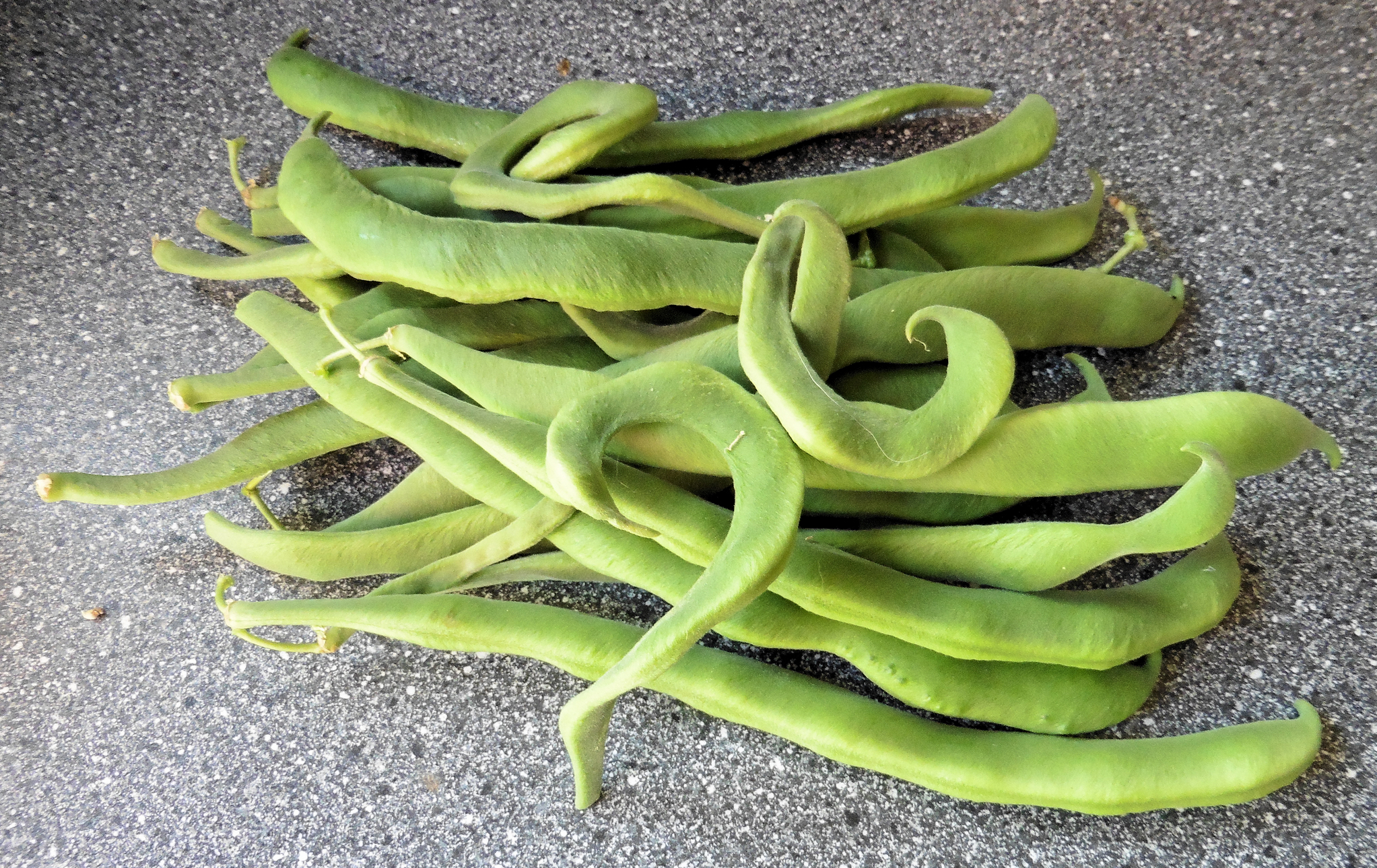 runner beans